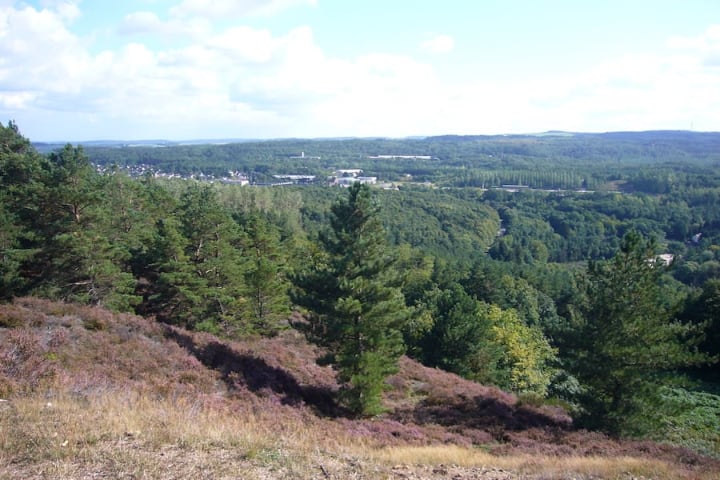  Mechernicher Voreifel