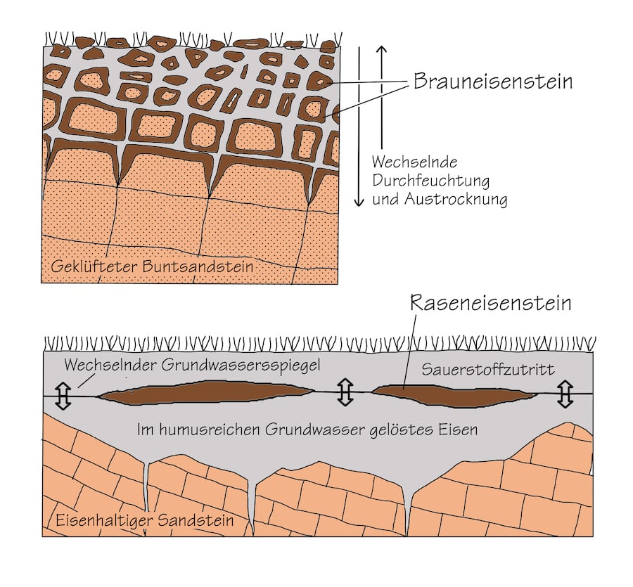 Entstehungsorte von Brauneisenerz und Raseneisenerz