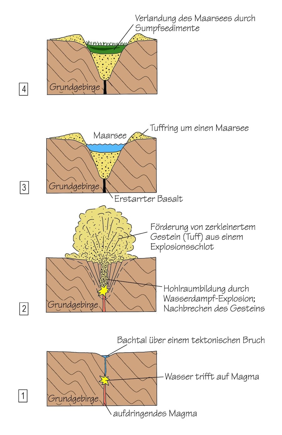 Entstehung eines Maars