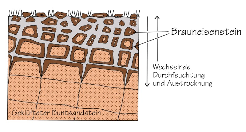 Entstehung von Brauneisenstein / Brauneisenerz