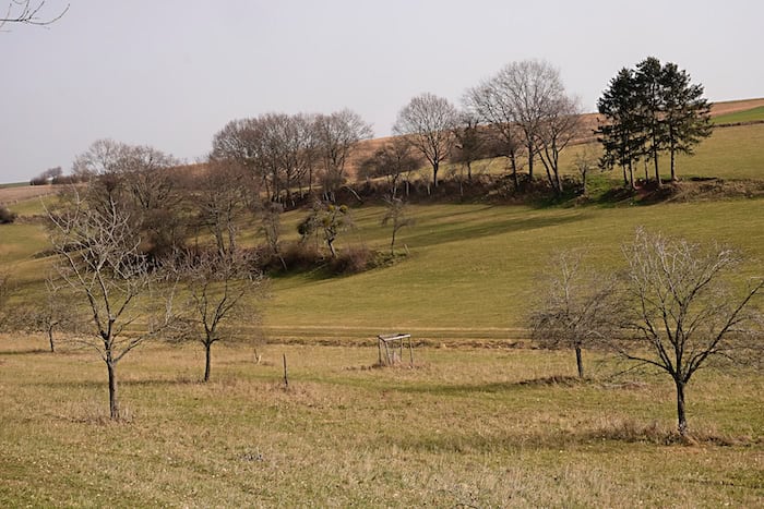  Hangterrassen im Neffelbachtal 