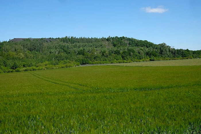  Bergehalde Carl-Alexander 