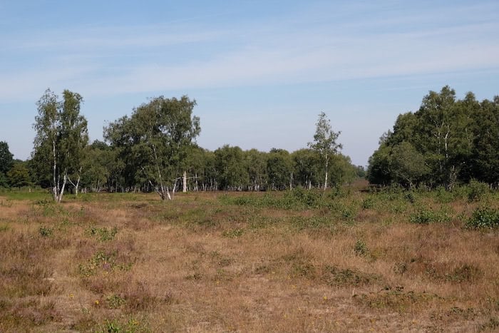  Drover Heide 