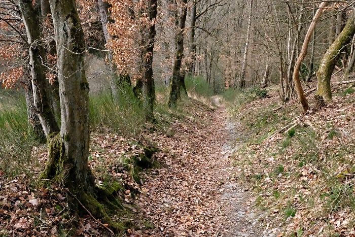  Der Missepaad (alter Pilgerweg) 