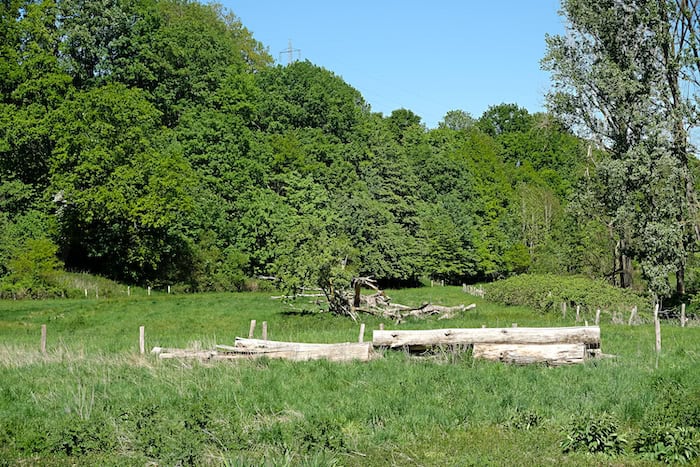  Niederterrasse im Wurmtal 