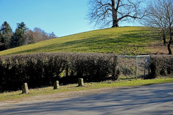  Sandkuppe in der Aachener Heide 